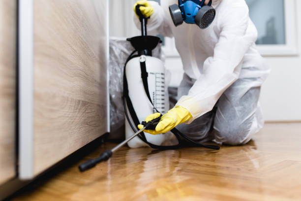 Best Pest Control Near Me in North Bay Village, FL